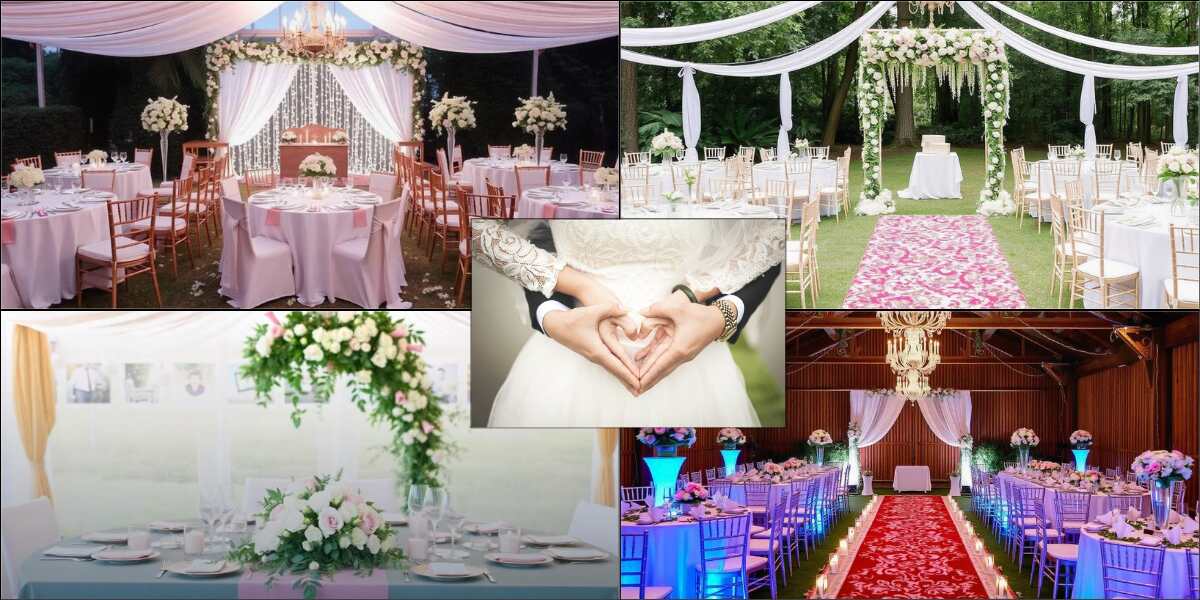 Wedding theme ideas for your special day