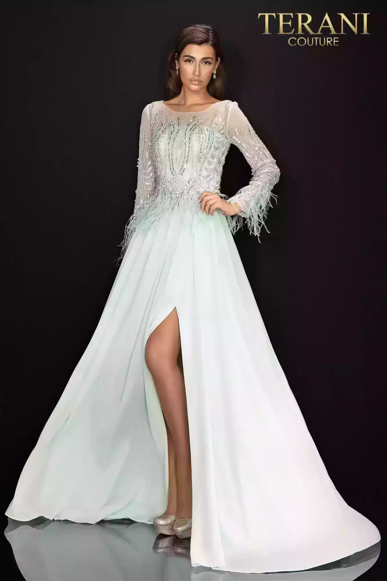Long Sleeve Feather Accented Mother of the Bride Gown with Airy Chiffon Skirt - 2011M2163