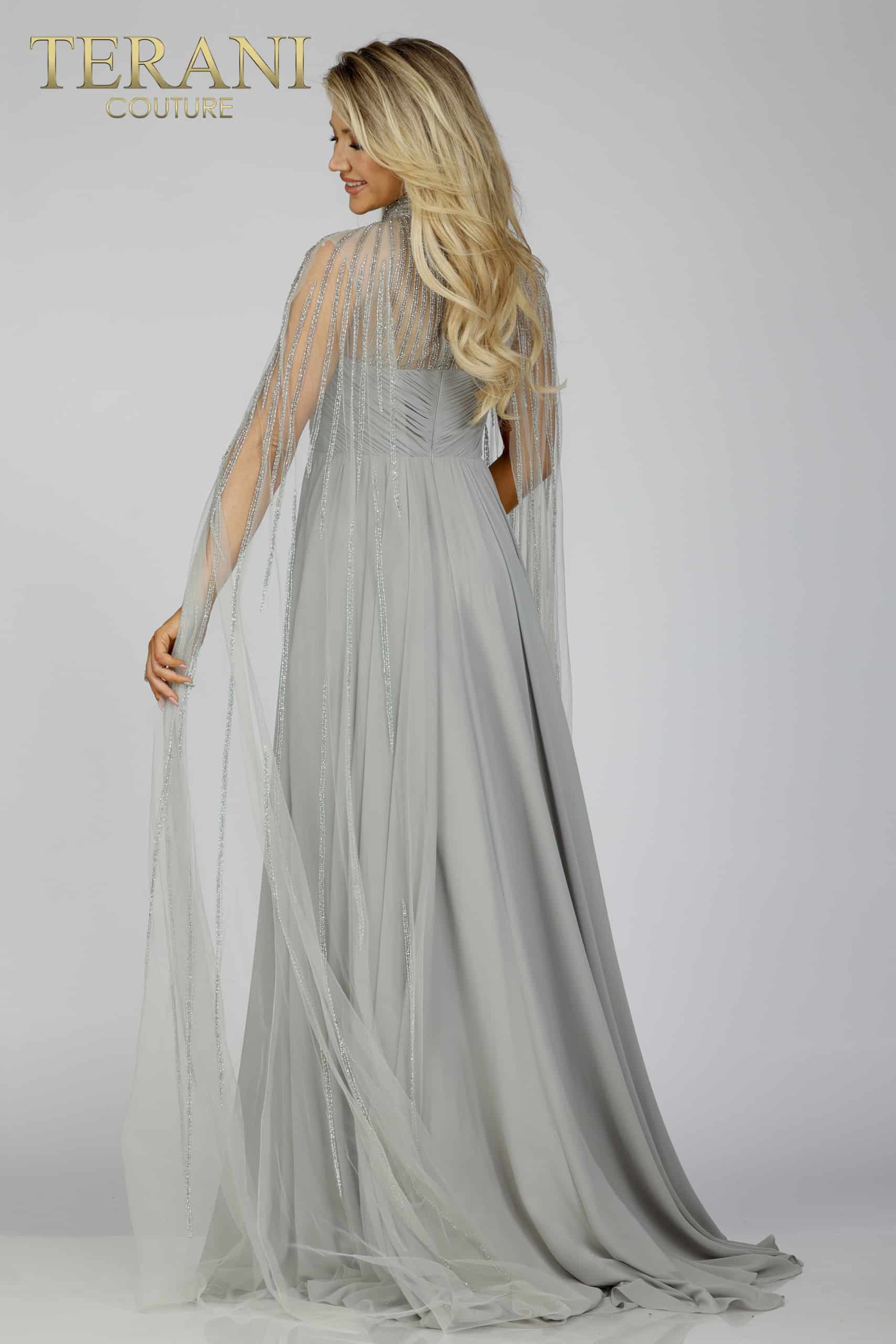 Silver Cap Sleeves Dress with Pleated Flare - 231M0495