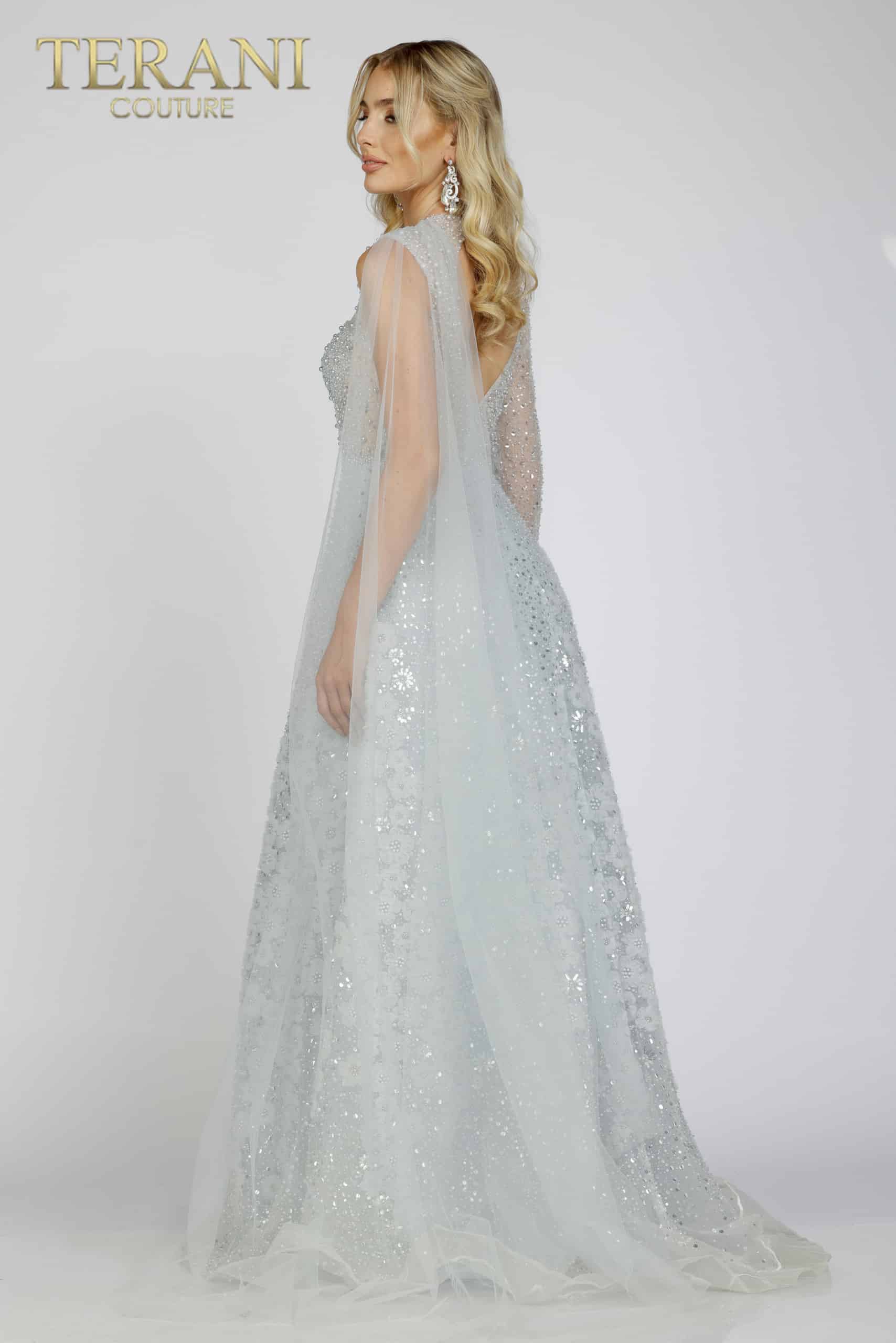 Silver Mother of the bride dress with sheer bodice -231M0493
