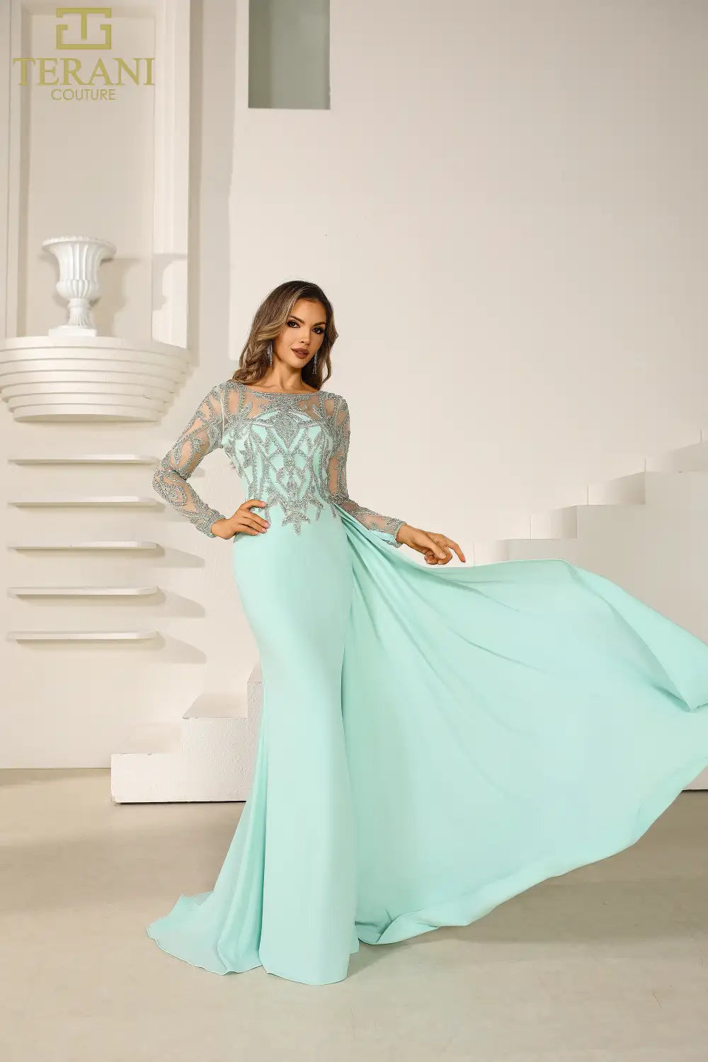 251M4420 Illusion Neck Full Sleeves sheath Long Dress