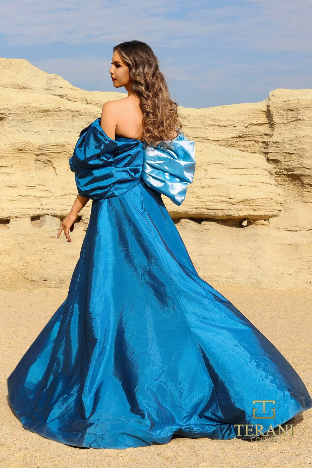 252E5141 - Fit and Flare Long Evening Dress