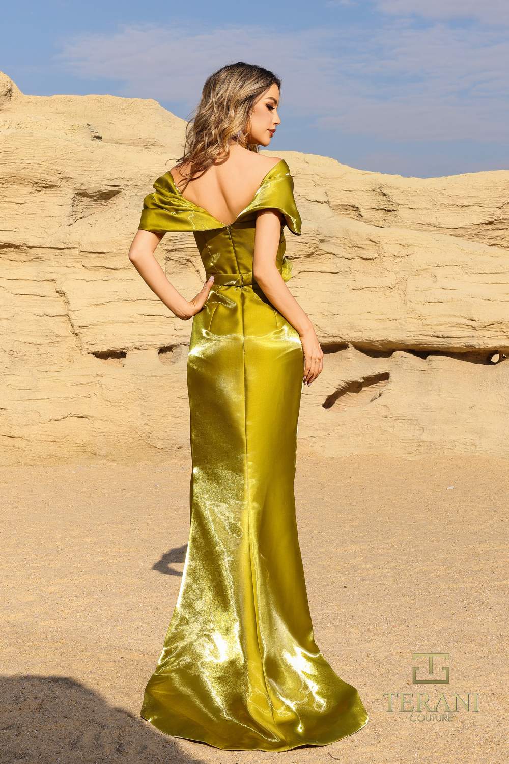 252E5163 - A-line Long Evening Dress