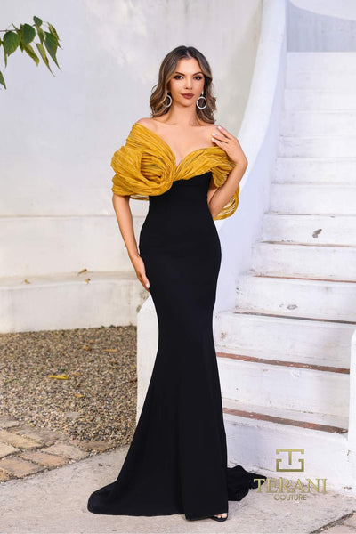 252E5181 - Fit and Flare Long Evening Dress