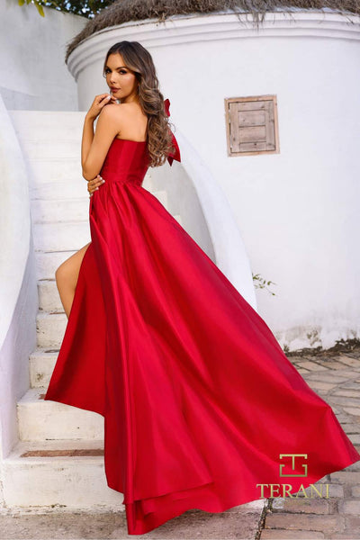 252E5531 - Fit and Flare Long With Overskirt Evening Dress