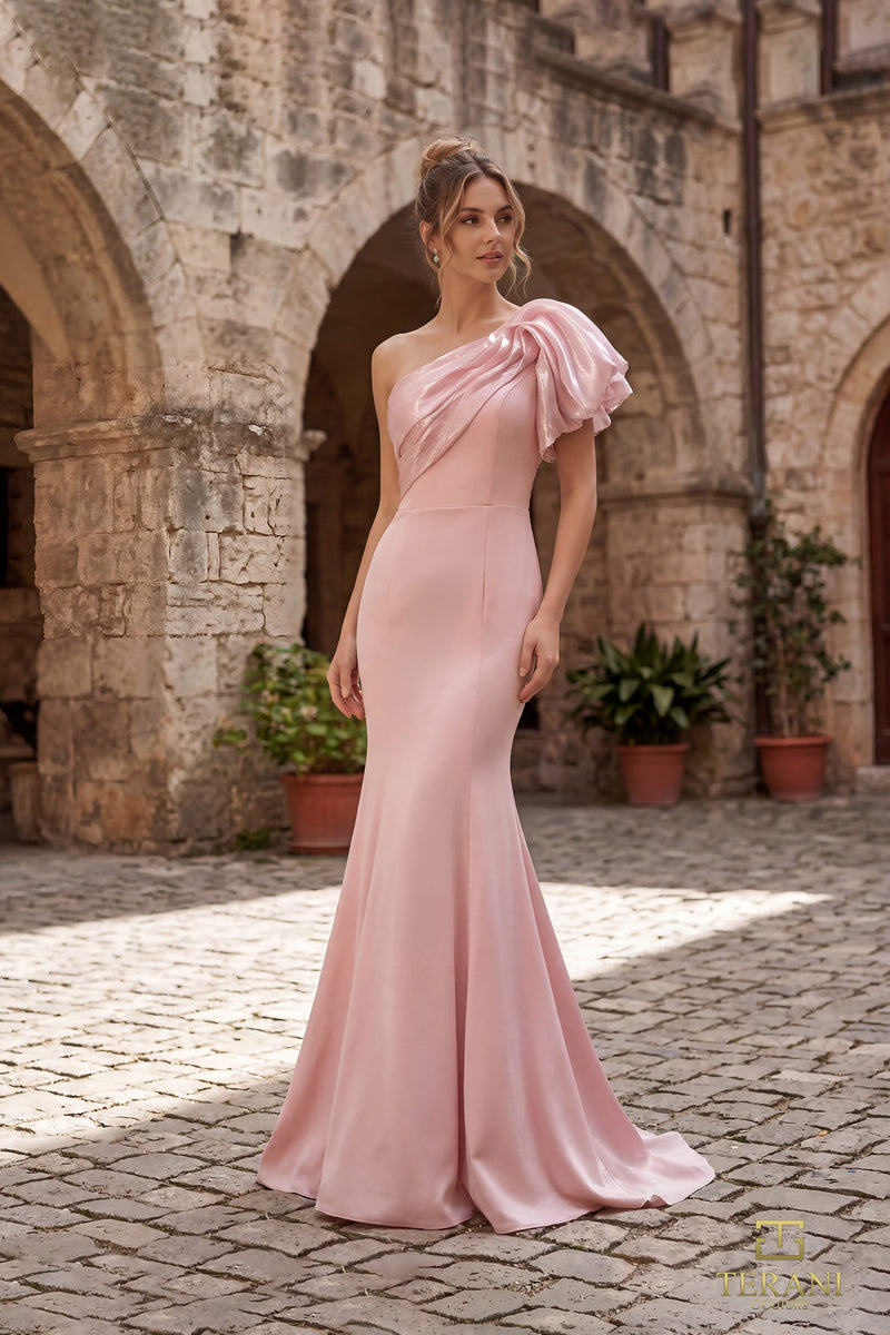 252E5514 - Fit and Flare Long Evening Dress
