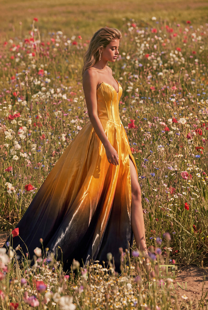 Ombre Organza Ball Gown with Plunging Corset Bodice - 271P9049