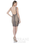 Sleeveless Bodycon Illusion Cutout Cocktail Dress - 1611C0043