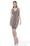 Sleeveless Bodycon Illusion Cutout Cocktail Dress - 1611C0043