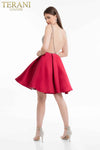 Matte Satin Full Box Pleat Skirt Dress with Illusion Back - 1821H7771