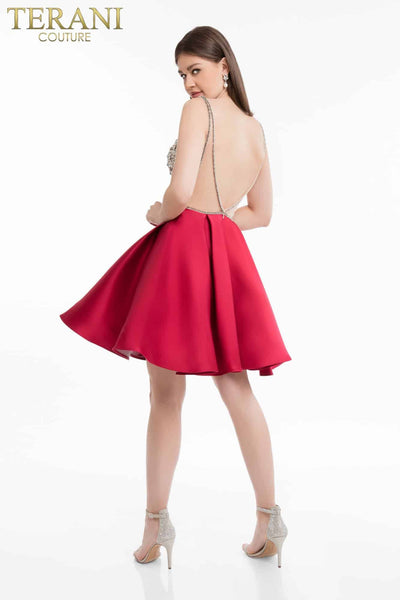 Matte Satin Full Box Pleat Skirt Dress with Illusion Back - 1821H7771