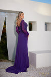 Chiffon Skirt Gown with Feather Accented Sleeves - 1921M0473