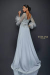 Chiffon Skirt Gown with Feather Accented Sleeves - 1921M0473