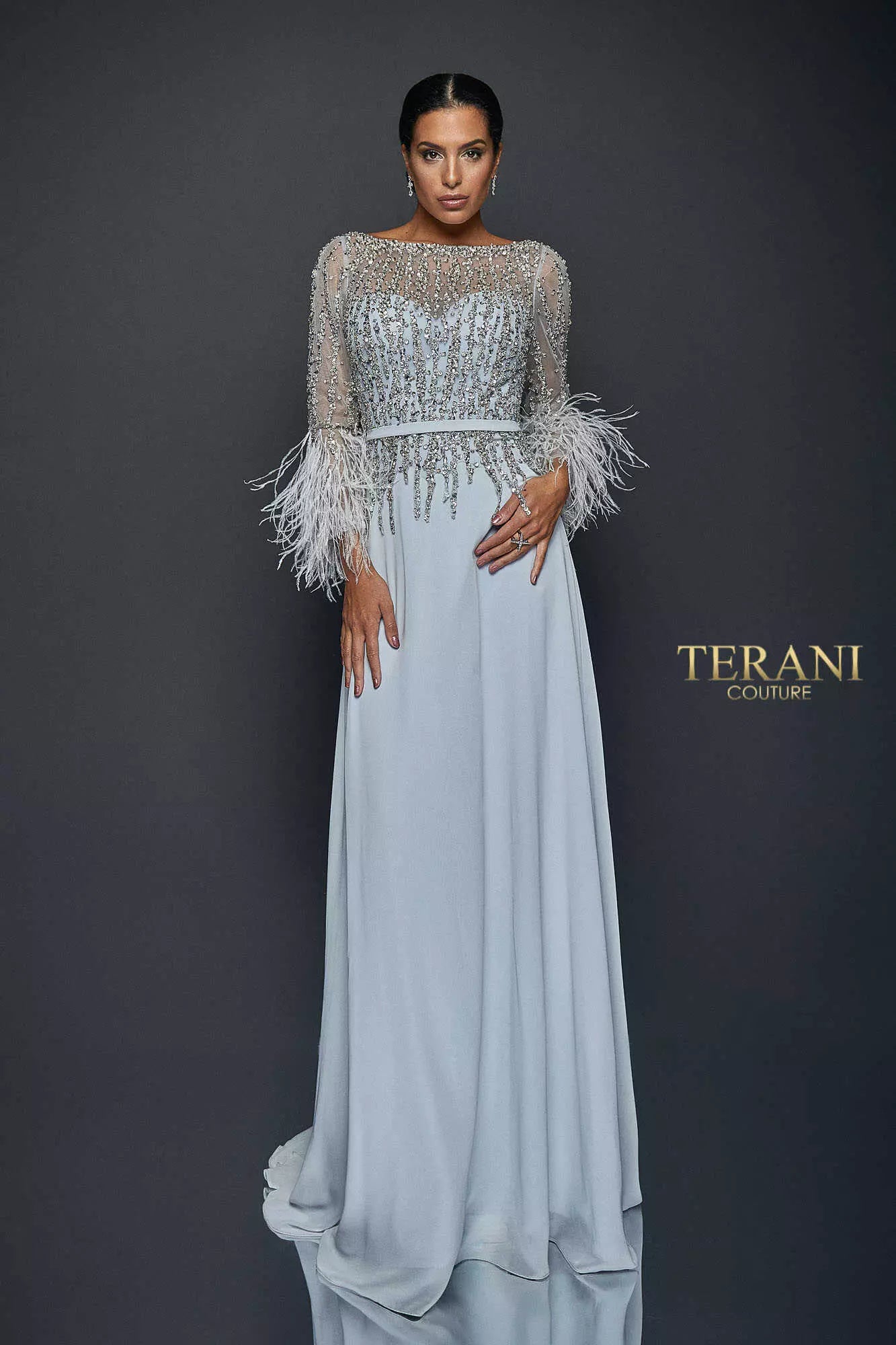Chiffon Skirt Gown with Feather Accented Sleeves - 1921M0473