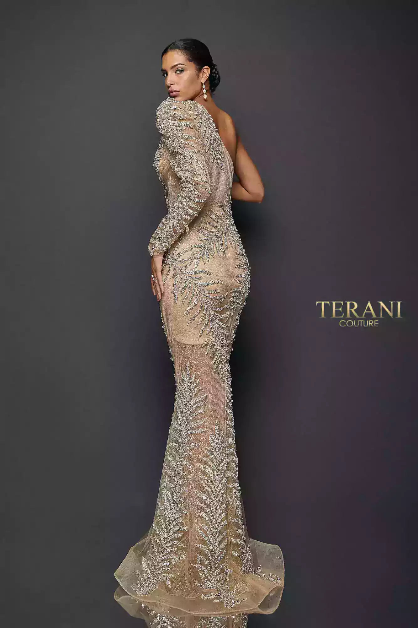 Exotic One Tulle Sleeved Sheer Mermaid Gown | 1922GL0659