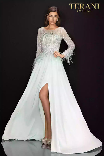 Long Sleeve Feather Accented Mother of the Bride Gown with Airy Chiffon Skirt - 2011M2163