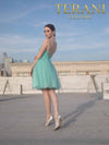 Tiffany Tulle Short Prom Dress with Crystals - 2011P1024