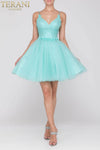 Tiffany Tulle Short Prom Dress with Crystals - 2011P1024