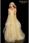Long Tulle Prom Ball Gown - 2011P1213