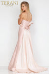 Strapless Formal Mermaid Dress with Train - 231E0308