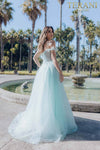 Off Shoulder Tulle Wedding Couture Gown- 231E0520