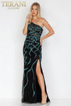 Mesh Black Green Pageant Dress - 231GL0399