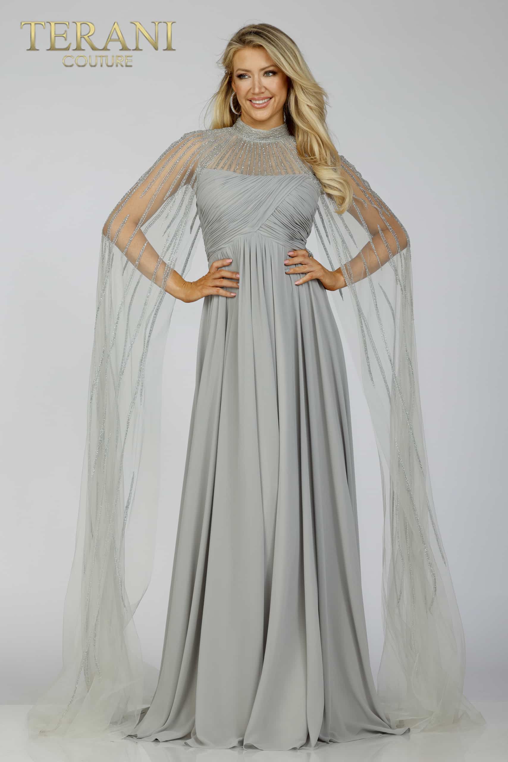 Silver Cap Sleeves Dress with Pleated Flare - 231M0495