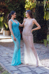 Prom Dress with Silver Embellishment - 231P0141