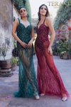 Prom Dress with Silver Embellishment - 231P0141