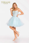 Tulle Mini Prom Dress with embellished bodice- 231P0565