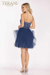 Pleated Mini Prom Dress in Tulle Fabric - 231P0590