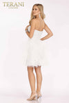Pleated Mini Prom Dress in Tulle Fabric - 231P0590