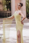 Asymmetrical Mermaid One Shoulder Cape Evening Dress - 232E1209