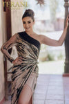 Asymmetrical Two-tone A-line Sheer Long One Sleeve Dress - 232GL1410