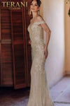 Mermaid Off Shoulder Netting Applique Long Dress - 232GL1471