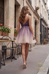 V-Neck Short Homecoming Dress - 232H1013