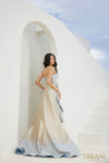241E2486 A-Line Strapless Embroidered Jacquard Column Evening Dress