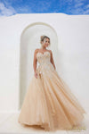 241P2216 Off-Shoulder Glitter Tulle Champagne Ballgown Prom Dress