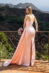 241P2008 Strapless Column Body Long Prom Dress