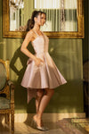 242C3052 Matte Satin Sleeveless Ballgown cocktail Dress