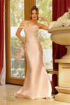 Sweatheart Strapless Blush Dress
