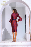 251C4167 Bodycon V-neck Back Slit Cocktail Dress