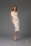 251C4181 Bodycon Sleeveless Short Cocktail Dress