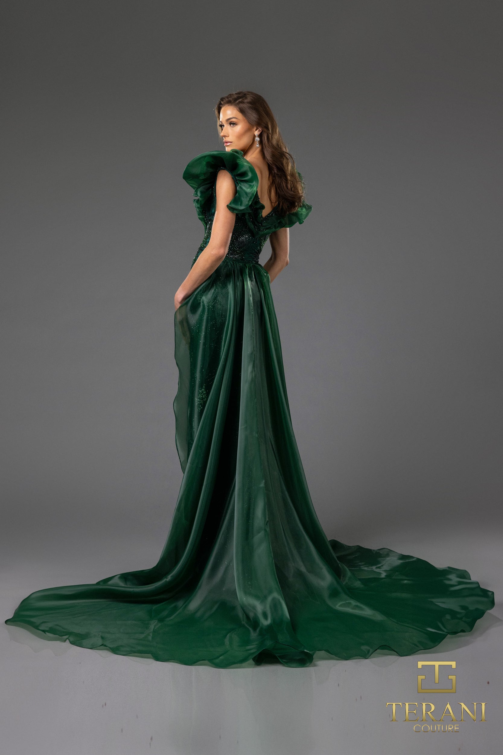 251GL4357 V-neck Puff Sleeves Beaded Tulle Sheath Pageant Dress