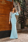 251M4423 Illussion Neck Full Sleeves Sheath Long Dress