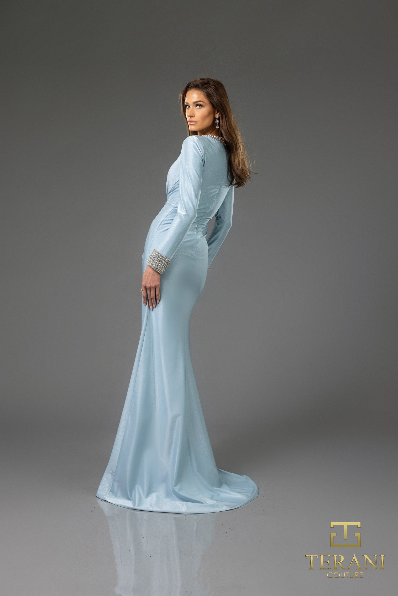 251M4433 Round Neck Full Sleeves Stretch Metallic Sheath Long Dress