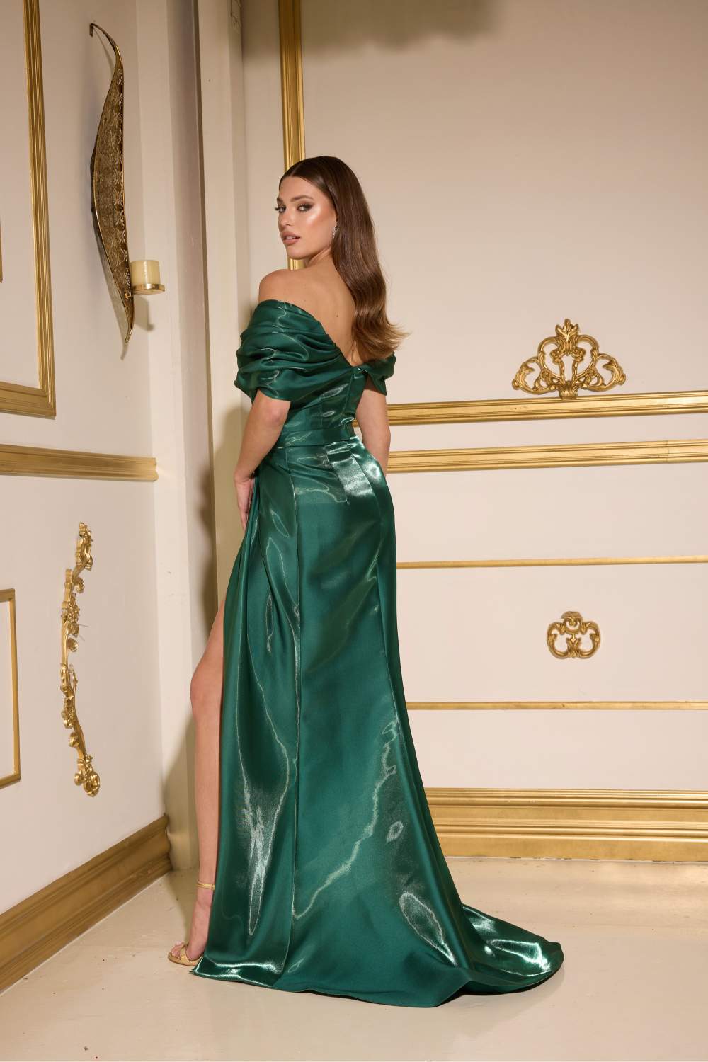 252E5163 - A-line Long Evening Dress