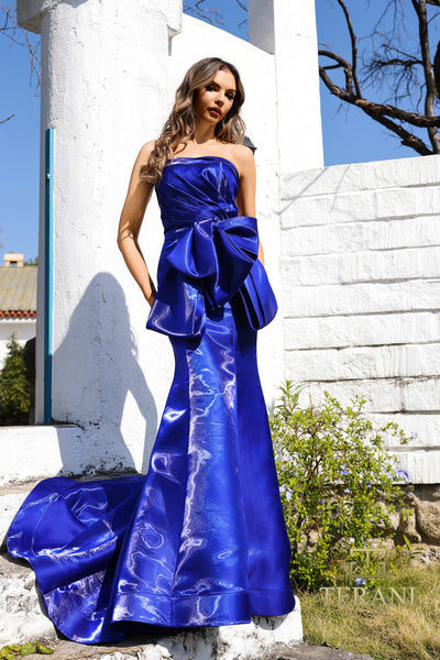 252E5164 - Fit and Flare Long Evening Dress