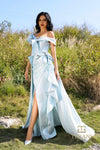252E5169 - Fit and Flare Long With Overskirt Evening Dress