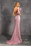 252E5171 - Fit and Flare Long Evening Dress
